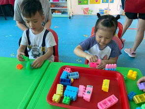 快樂體驗,相伴成長 金蘋果總園新生半日體驗活動