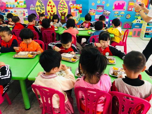 愛上幼兒園之 神獸 歸籠 金蘋果一園開學(xué)記