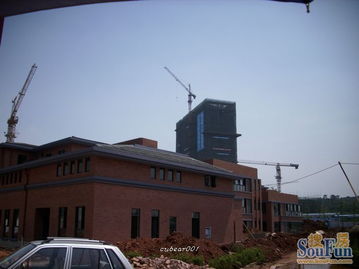 西南最大的金蘋果旗艦幼兒園外裝都做好啦,曬曬圖片